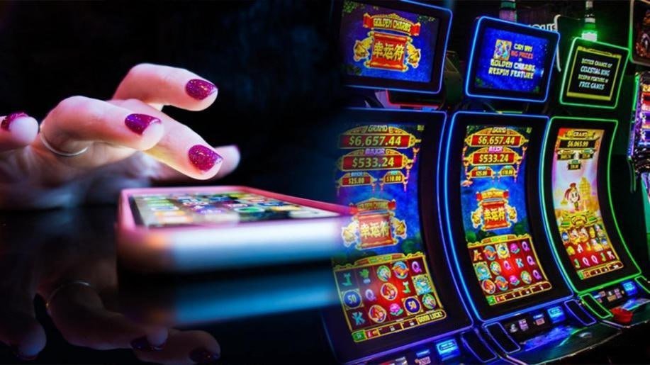 7722 bet 7722 bet