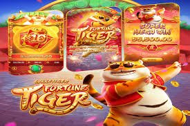 7722 bet 7722 bet